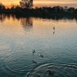 European River Cruise Packing List: What to Bring for a Stress-Free Journey