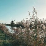 Travel Diaries: Kinderdjik, Netherlands