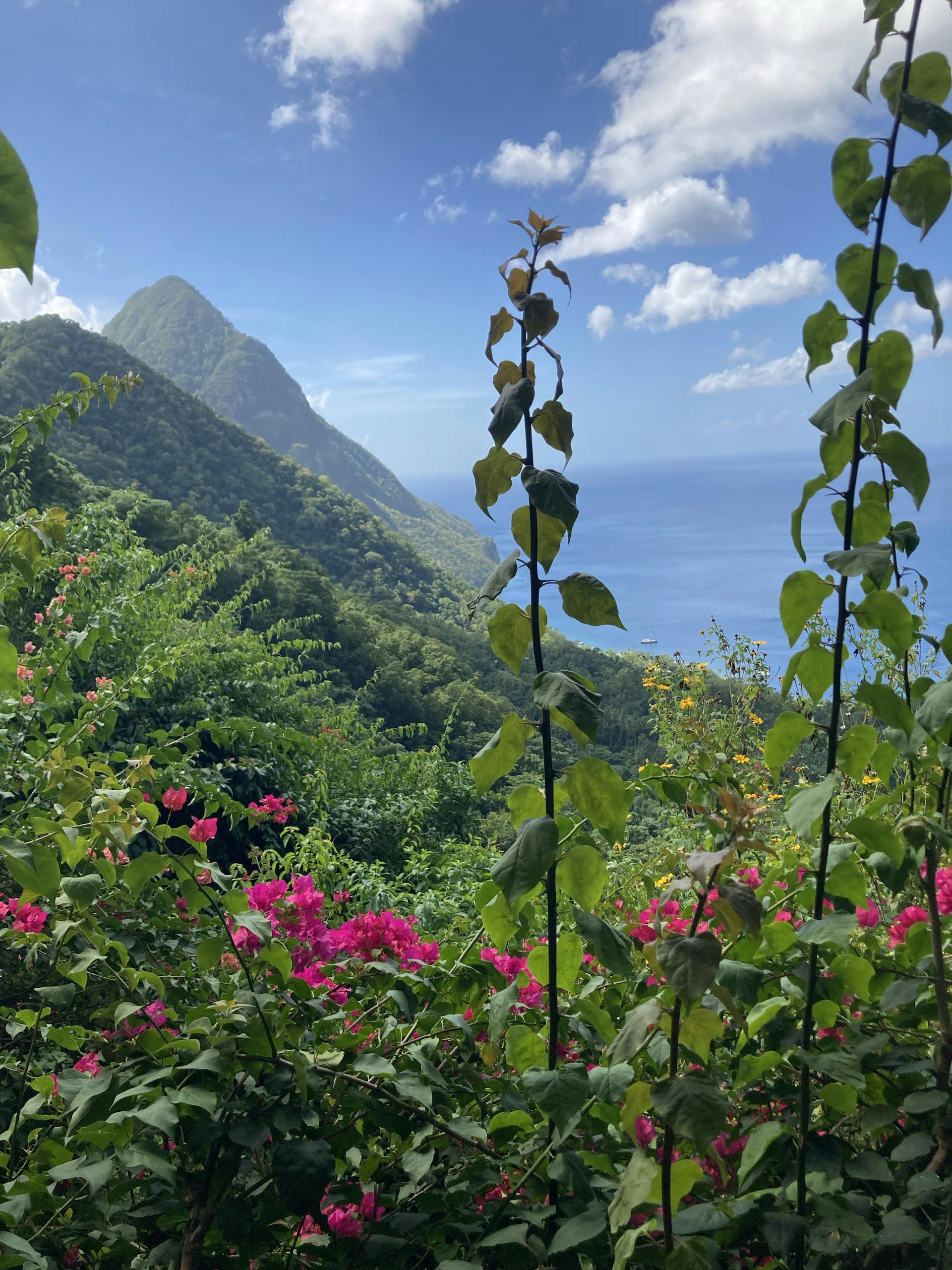 Lush greenery and vibrant flowers framing the Pitons with ocean views in Saint Lucia.