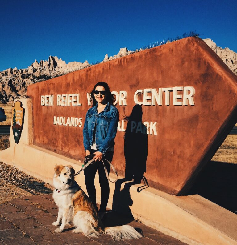 How to Travel with Pets: What You Need to Know