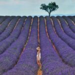 Colors of Provence River Cruise: Everything You Need to Know