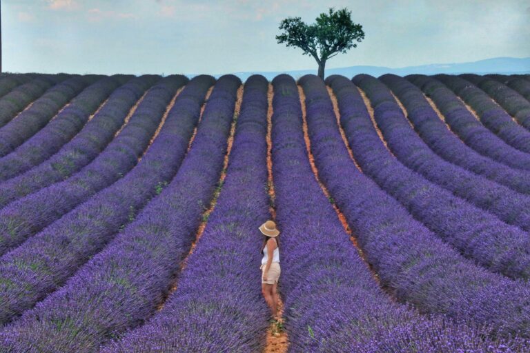 Colors of Provence River Cruise: Everything You Need to Know