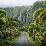Hawaii Travel Tips & Hidden Gems