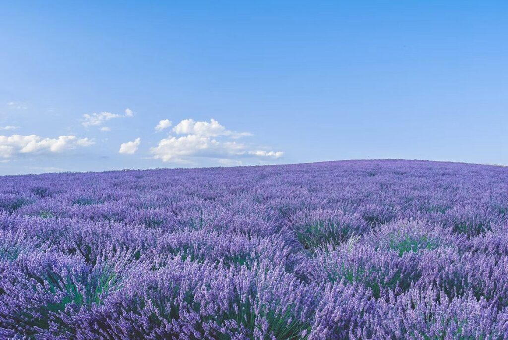 Where to Travel Each Month of the Year: Best Destinations, Events & Hidden Gems