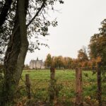 France Travel Diaries: Almost Didn’t Go… And Why This Month in France Changed Everything