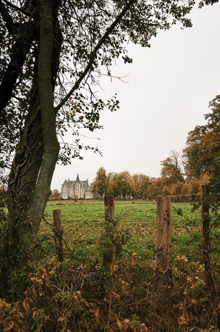 France Travel Diaries: Almost Didn’t Go… And Why This Month in France Changed Everything