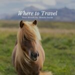 The Best Time to Visit Europe’s Top Cities (By Weather & Crowds)